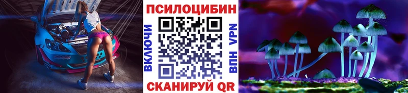 закладка  дарк нет наркотические препараты  Псилоцибиновые грибы мицелий  Оса 